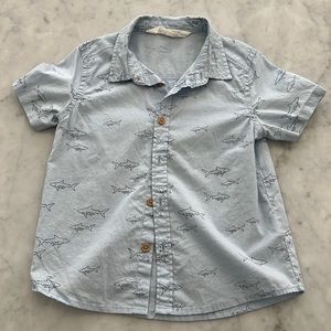 H&M boys light blue shark button down shirt 1.5-2Y